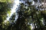 resIMG_20170711_163122_8476.JPG